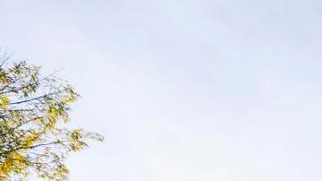 La investigación sobre Jeffrey Epstein fue liderada por el Departamento de Justicia y el FBI.