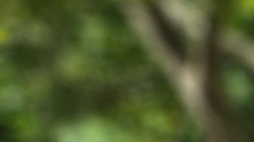 Los activistas neoyorquinos exigen el cierre de Rikers.