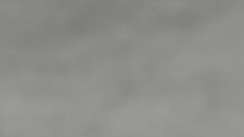 Los países árabes vecinos han rechazado la idea de Trump y la han catalogado de limpieza étnica y denuncian que imposibilitaría la solución de los dos Estados.