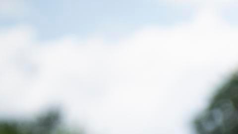 El presidente estadounidense, Donald Trump, responde a preguntas de los medios de comunicación mientras camina hacia el Marine One en el Jardín Sur de la Casa Blanca en Washington, D.C., EE. UU., el 15 de julio de 2025.