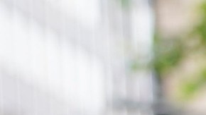 La municipalidad neoyorquina argumenta que el fin de esta protección traerá problemas económicos a la Gran Manzana.