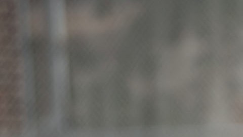 El alcalde Adams anunció que este verano 11 patios de escuelas servirán también como parques infantiles