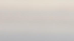 A cada una de las personas les garantizaron el resguardo de sus derechos humanos e integridad.