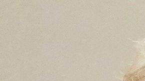 Trump y Putin tuvieron su sexta llamada telefónica.