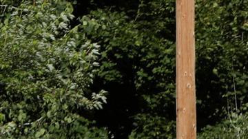 El atacante era de California y vivía en su vehículo.