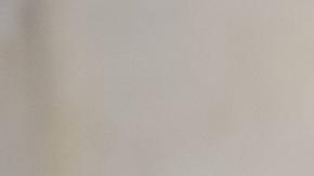 Lula y Sheinbaum resaltaron los sectores de la industria farmacéutica y agropecuaria, así como los del etanol, el biodiesel y el aeroespacial, entre otros.