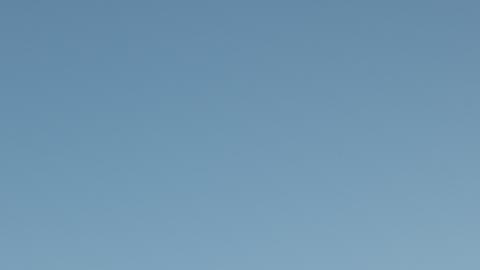 La temperatura en algunas regiones de Francia alcanzó los 41° C, algo nunca antes visto.