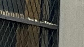 La presidenta de El Bronx, Vanessa Gibson, apoya la rezonificación de Kingsbridge Armory, pero centrado en la comunidad