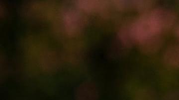 El presidente estadounidense, Donald Trump, camina por el Jardín Sur de la Casa Blanca tras su llegada en el Marine One a Washington, D.C., EE. UU., el 15 de julio de 2025.