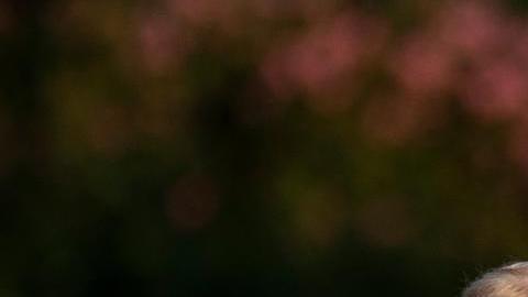 El presidente estadounidense, Donald Trump, camina por el Jardín Sur de la Casa Blanca tras su llegada en el Marine One a Washington, D.C., EE. UU., el 15 de julio de 2025.