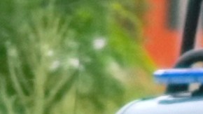 Las autoridades de Sinaloa señalan a los cárteles como responsables de la violencia.