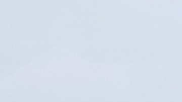 En medio de protestas, Alligator Alcatraz comenzó a funcionar a pesar de "las malas condiciones de la construcción".