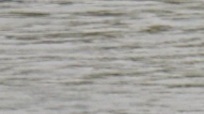 La barrera se construirá en el Río Grande, en el condado de Cameron