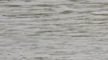 La barrera se construirá en el Río Grande, en el condado de Cameron