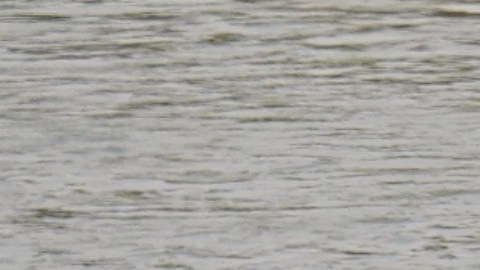 La barrera se construirá en el Río Grande, en el condado de Cameron