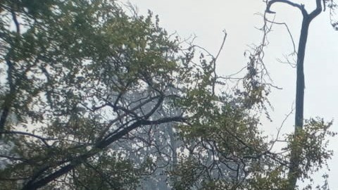 El fuego inició por un rayo, pero luego de una seman resurgió por las altas temperaturas y fuertes vientos.