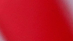 Los republicanos quieren horar a la señora Trump.