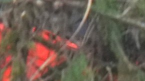 Los equipos de rescate se enfrentan a un terreno lleno de árboles rotos, autos volcados y escombros llenos de lodo.