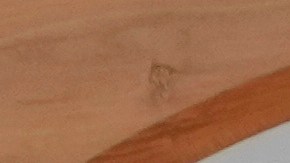 León XIV expresó su dolor por las víctimas. Renovó su oración y cercanía al pueblo ucraniano.