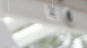 Los encuestados dijeron desaprobar la política de migración del Donald Trump.