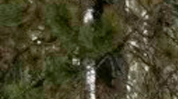 El reloj de uno de los fallecidos llevó a los rescatistas hasta el lugar donde fue el accidente.