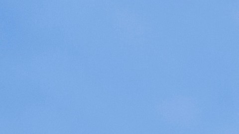 Los jueces del tribunal, que se inclinaron 2-1 en contra de la orden ejecutiva.