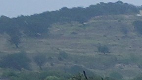 Los rescatistas están enfocados en encontrar a los desaparecidos.