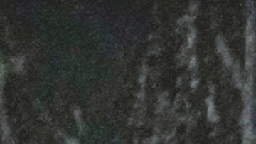 El presidente Pezeshkian dio las declaraciones a Tucker Carlson durante una entrevista.