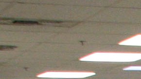 Centro de detención migratoria en el estado de Washington