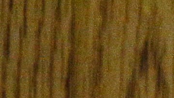 Osagbue falsificó firmas y suplantó identidades.