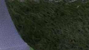 El hecho ocurrió a la mitad del primer tiempo y obligó al principal a detener por minutos las acciones en el campo.