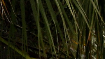 Los accidentes de avionetas son relativamente frecuentes en Estados Unidos.