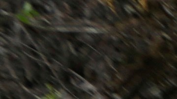 Escasez de agua por huracán María en Puerto Rico