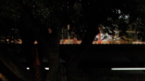Casi 57,000 inmigrantes de Honduras tienen TPS.