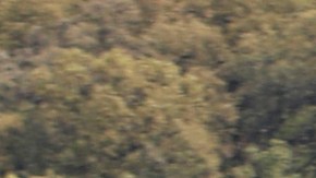 La avioneta se estrelló siete minutos después.