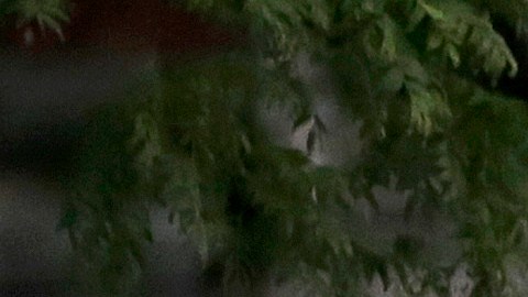 Una ola de lluvias intensas azotó la región desde la madrugada.