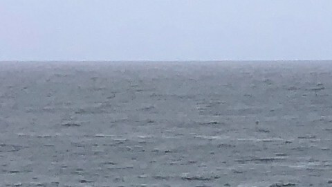 El tsunami se produjo tras un terremoto en la costa de Rusia.