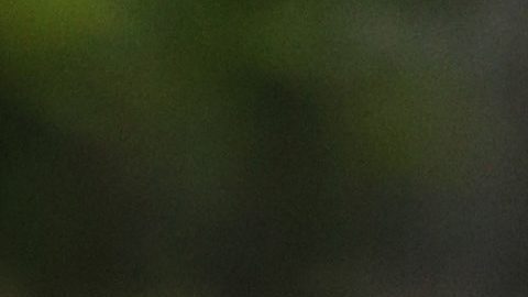 FIFA revela cómo conseguir las primeras entradas para el Mundial 2026