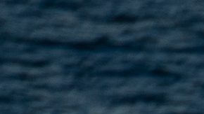 Unidades de aviación y buceo del NYPD recorrieron el agua en busca del individuo, pero no fue recuperado de inmediato.