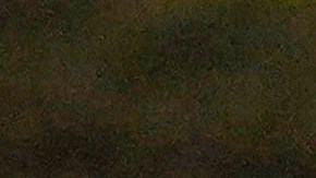 Desamparada en campamento en Deering Oaks Park