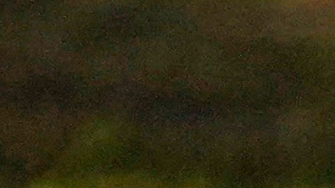 Desamparada en campamento en Deering Oaks Park