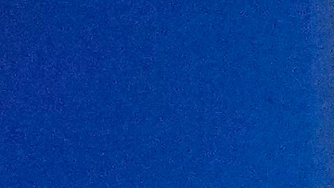 Alejandro Gómez regresará al fútbol.