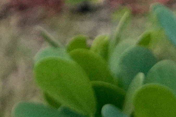 Jett Williams es uno de los prospectos más codiciados de los Mets.