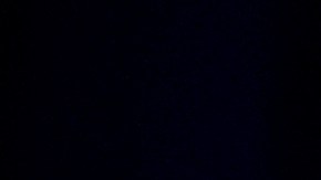 Expresidentes de EE.UU. Joe Biden y Barack Obama