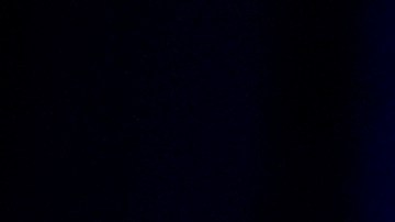 Expresidentes de EE.UU. Joe Biden y Barack Obama