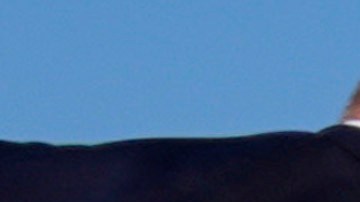 Donald Trump, entonces candidato presidencial republicano, es rodeado por agentes del Servicio Secreto de Estados Unidos en un mitin de campaña, el 13 de julio de 2024, en Butler, Pensilvania.