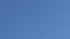 Bank of America Stadium.