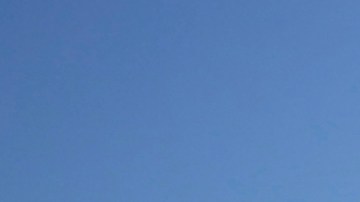 Bank of America Stadium.