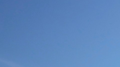 Bank of America Stadium.