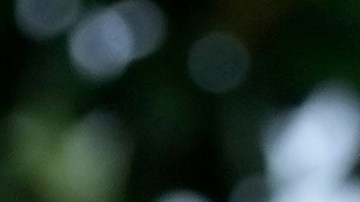 Foto de archivo del expresidente Joe Biden junto a su hijo Hunter Biden en la Casa Blanca.